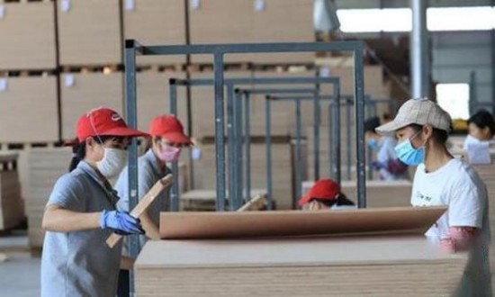 2021年广西人造板产量达5100万立方米