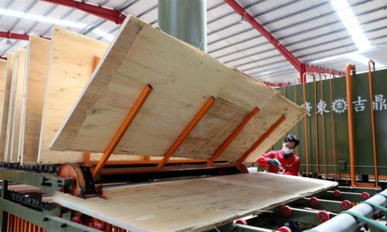 沭阳桑墟木业产业发展迅速